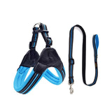 Adjustable Dog Harness and Leash