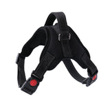 Adjustable Dog Harness