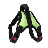 Adjustable Dog Harness