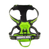 Reflective Personalized Pet Harness