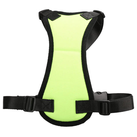 Pet Dog Harness and Seat Belt