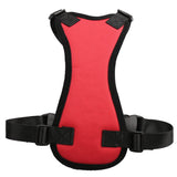 Pet Dog Harness and Seat Belt