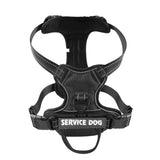 Reflective Personalized Pet Harness