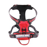 Reflective Personalized Pet Harness