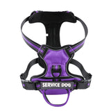 Reflective Personalized Pet Harness