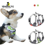 Pet Harness Vest